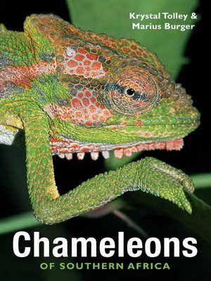 cover image of Chameleons of Southern Africa